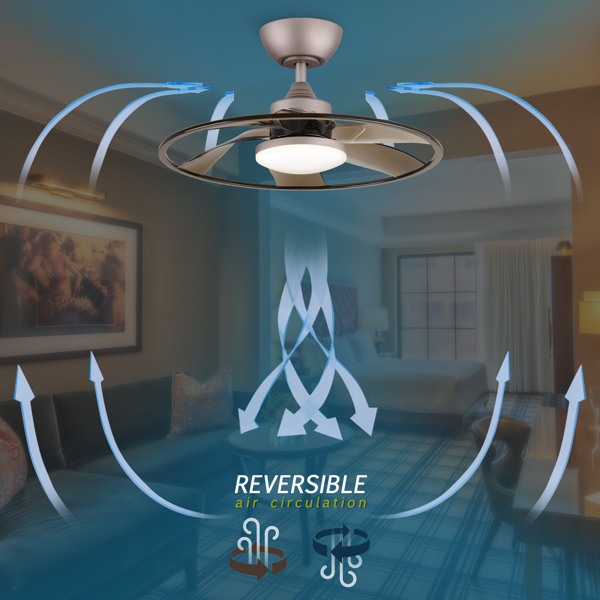 Light Pro 22英寸LED室内咖啡智能吊扇，带遥控器【周末不发货，TK/TEMU订单仅支持自提】-4