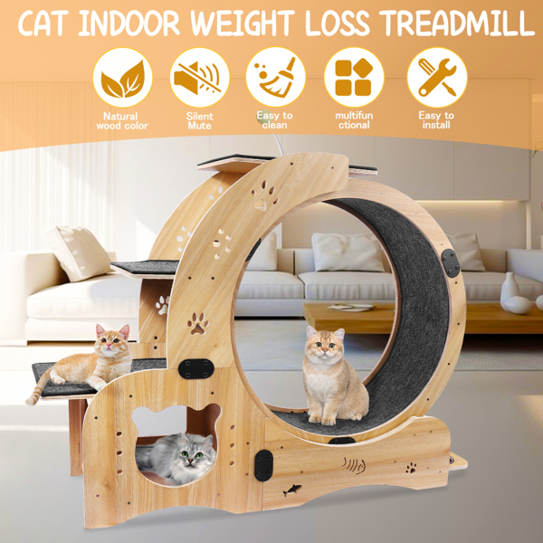 Cat Running Wheel /Cat Scratching Board 