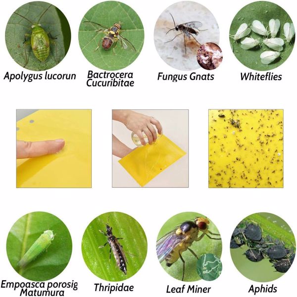 40Pcs Yellow Sticky Fly Trap Paper Fruit Flies Insect Aphids Glue Catcher Bug