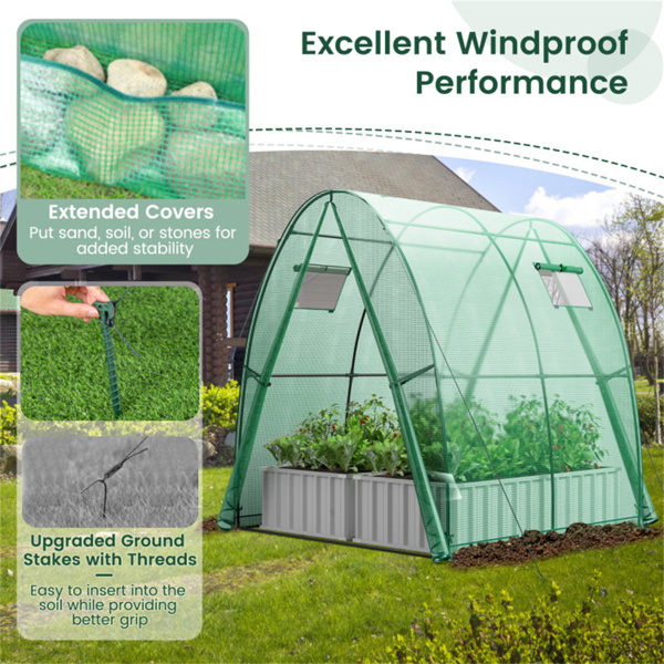 Outdoor Greenhouse 6 x 6 x 6.6 FT 