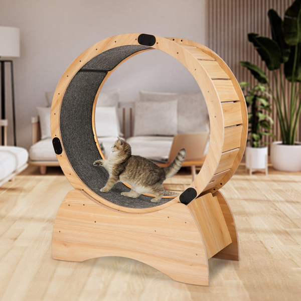 Cat Running Wheel /Cat Scratching Board 