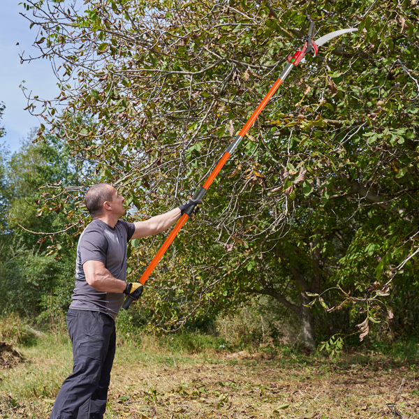 26ft Manual Pole Saw, Lightweight Tree Trimmers Long Handle Pruner Set, Sharp Steel Blade and Scissors Pole Saw for Trimming Palm, Pear Tree, Fir Tree, Other High Trees and Shrubs