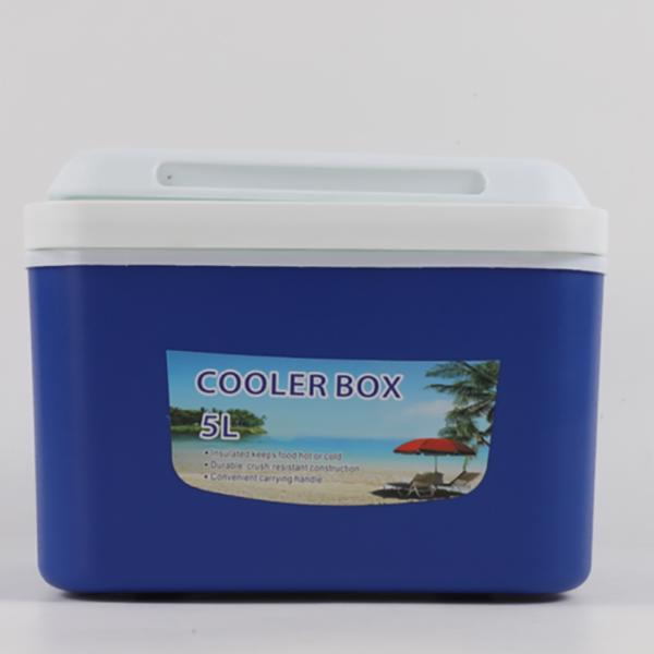 Kühlbox 13L Mini Kühlschrank Thermobox Autokühlschrank