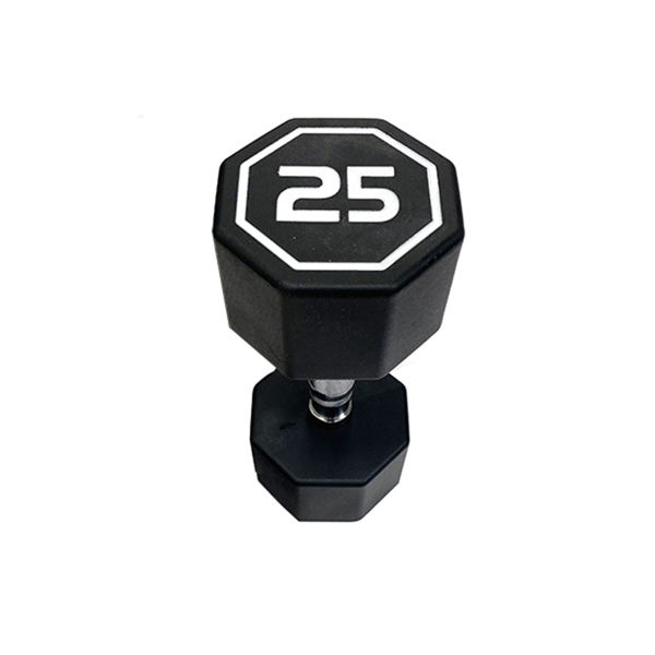 25LBS  APOLLO IR3920 Premium Octagonal Dumbbell, Large Numbers, Hard Chrome Plated Handle Dumbbells to Assist with Push-Ups