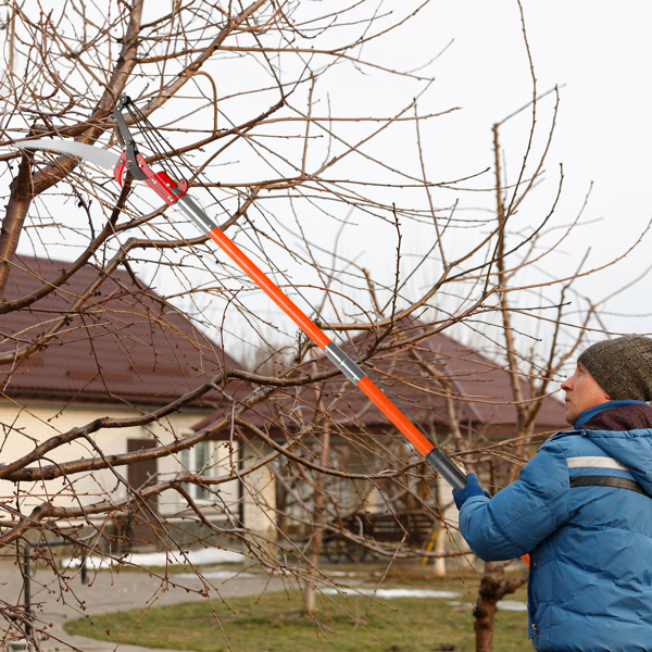 26ft Manual Pole Saw, Lightweight Tree Trimmers Long Handle Pruner Set, Sharp Steel Blade and Scissors Pole Saw for Trimming Palm, Pear Tree, Fir Tree, Other High Trees and Shrubs