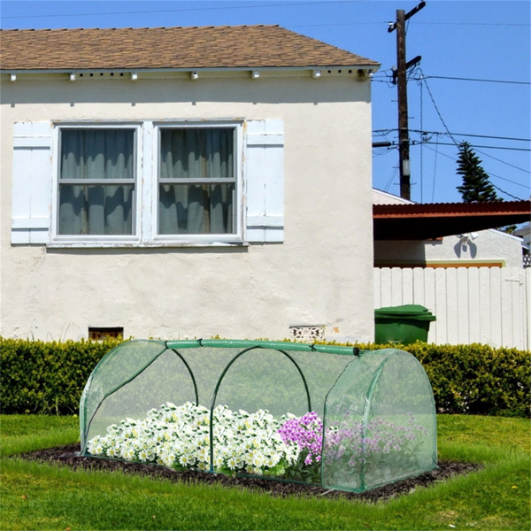 Mini Walk-in Greenhouse