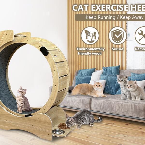 5-in-1 Cat Sports Running Wheel, Cats Wheel Wood Climbing Frame, Cat Litter Fitness Wheel, Oversized Roller Cat Indoor Activity Center,Large(Right)