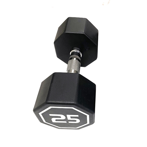 25LBS  APOLLO IR3920 Premium Octagonal Dumbbell, Large Numbers, Hard Chrome Plated Handle Dumbbells to Assist with Push-Ups