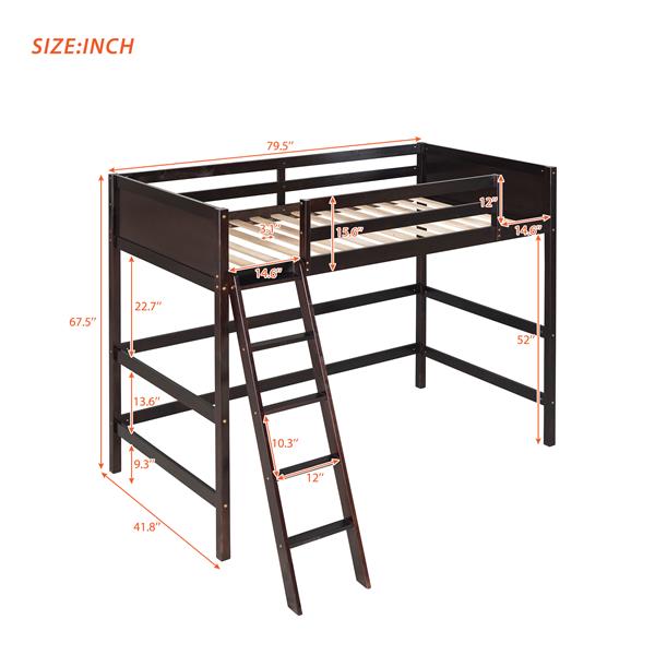 Solid Wood Twin Size Loft Bed with Ladder(Espresso)