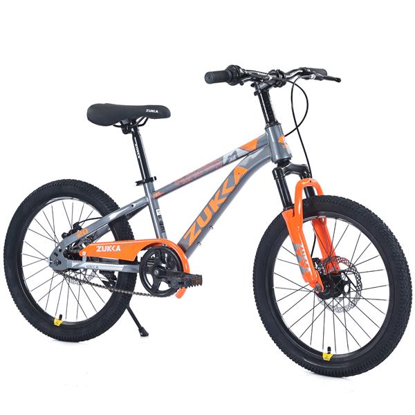 Mountain Bike,20 Inch MTB for Boys and Girls Age 7-10 Years,Multiple Colors