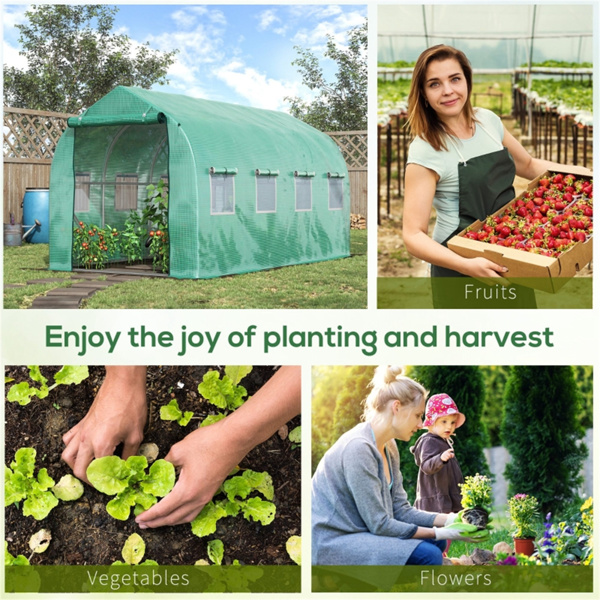 Polytunnel Greenhouse