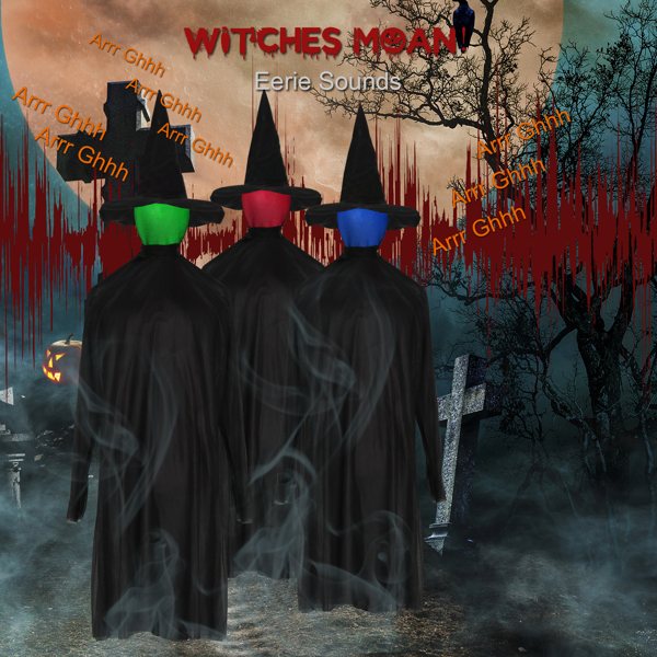  Halloween Black Witches with Change Colors