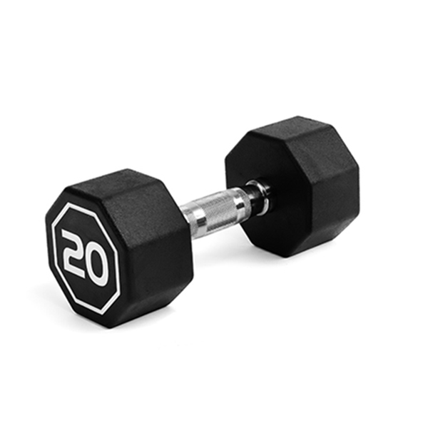 20LBS  APOLLO IR3920 Premium Octagonal Dumbbell, Large Numbers, Hard Chrome Plated Handle Dumbbells to Assist with Push-Ups