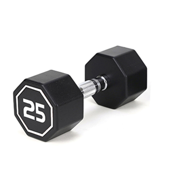 25LBS  APOLLO IR3920 Premium Octagonal Dumbbell, Large Numbers, Hard Chrome Plated Handle Dumbbells to Assist with Push-Ups