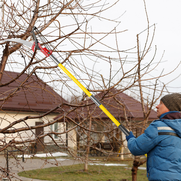 26ft Manual Pole Saw, Lightweight Tree Trimmers Long Handle Pruner Set, Sharp Steel Blade and Scissors Pole Saw for Trimming Palm, Pear Tree, Fir Tree, Other High Trees and Shrubs