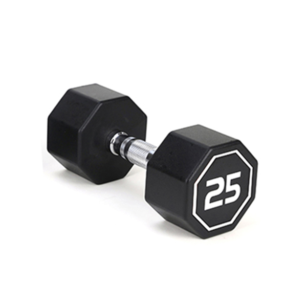 25LBS  APOLLO IR3920 Premium Octagonal Dumbbell, Large Numbers, Hard Chrome Plated Handle Dumbbells to Assist with Push-Ups