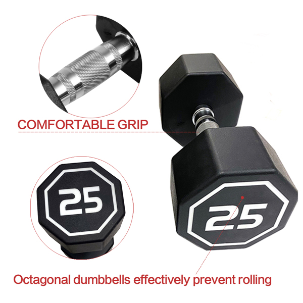 25LBS  APOLLO IR3920 Premium Octagonal Dumbbell, Large Numbers, Hard Chrome Plated Handle Dumbbells to Assist with Push-Ups