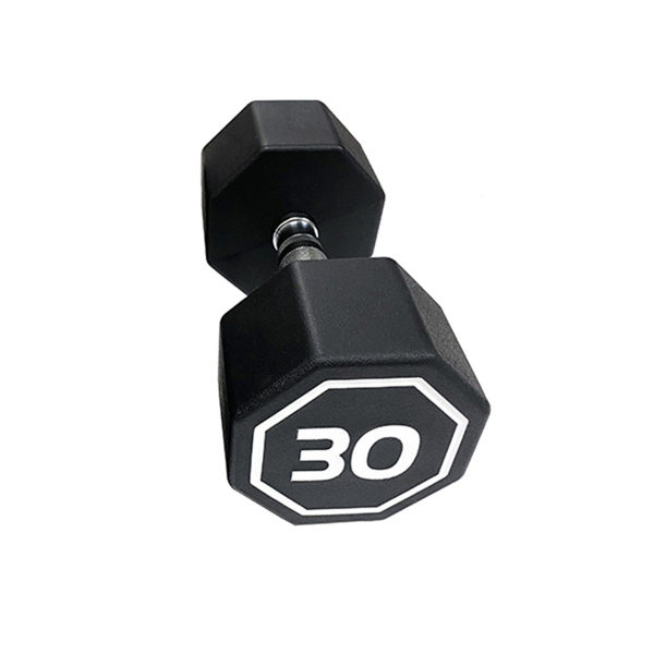 30LBS  APOLLO IR3920 Premium Octagonal Dumbbell, Large Numbers, Hard Chrome Plated Handle Dumbbells to Assist with Push-Ups