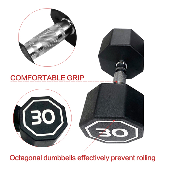 30LBS  APOLLO IR3920 Premium Octagonal Dumbbell, Large Numbers, Hard Chrome Plated Handle Dumbbells to Assist with Push-Ups