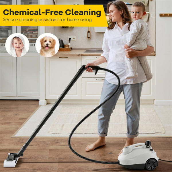 Steam cleaner with large water tank