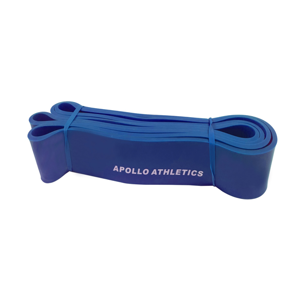 Blue（2.5）Pull Up Assist Bands | Heavy Duty Resistance Straps | Latex Exerceise Bands for Body Stretching, Powerlifting, Resistance Training