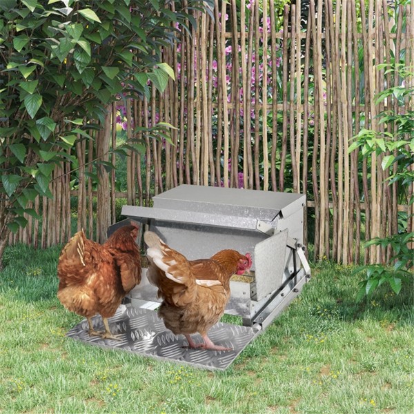 Chicken Feeder