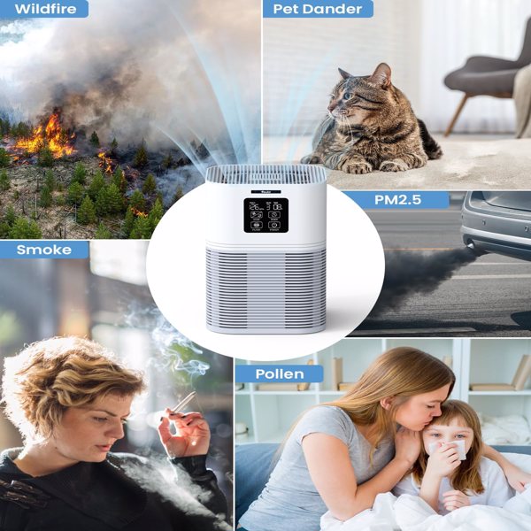 VEWIOR Air Purifiers for Home, HEPA Air Purifiers for Large Room up to 600 sq.ft, H13 True HEPA Air Filter with Fragrance Sponge 6 Timers Quiet Air Cleaner for Pet Dander Wildfire(banned by Amazon)