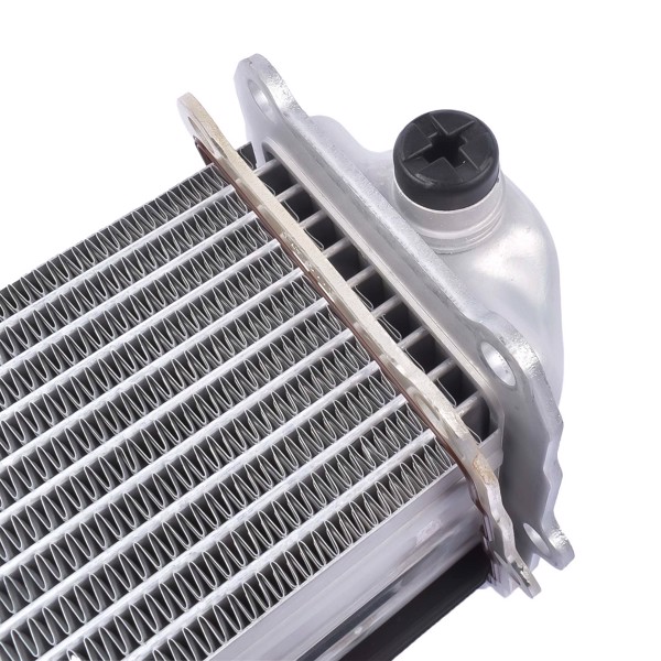 Intercooler 06E145621R 06E145621F for Audi A7 A8 Q5 Q7 S4 S5 SQ5 10-17 A/T M/T