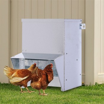 Chicken Feeder