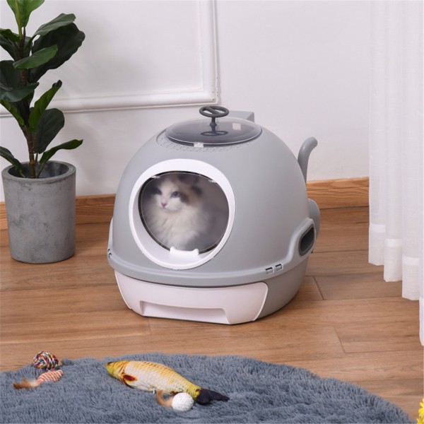 Cat Litter Box