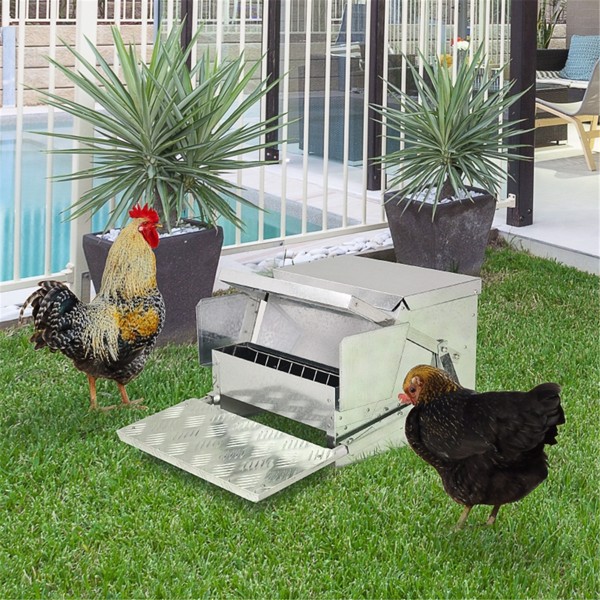 Chicken Feeder