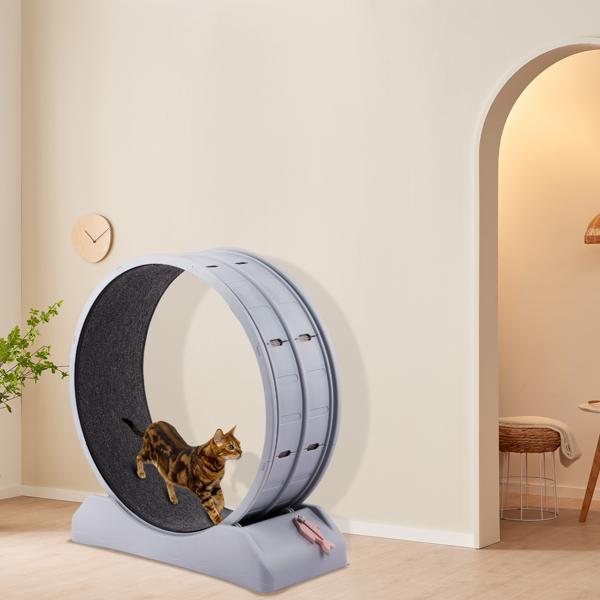 Cat Exercise Wheel, 31 inch Cat Wheels for Indoor Cats, Cat Treadmill Wheel Exerciser with Carpeted Runway, Plastic Cat Running Wheel for Cats Daily Exercise and Weight Loss, Gray