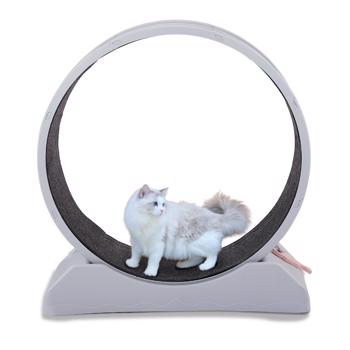 Cat Exercise Wheel, 31 inch Cat Wheels for Indoor Cats, Cat Treadmill Wheel Exerciser with Carpeted Runway, Plastic Cat Running Wheel for Cats Daily Exercise and Weight Loss, Gray