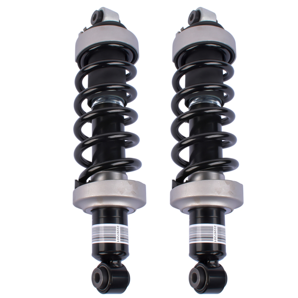 2X Air Shock Absorber Shocks Rear Left +Right for Audi R8 D 2007-2015 420512020Q 420512019AG