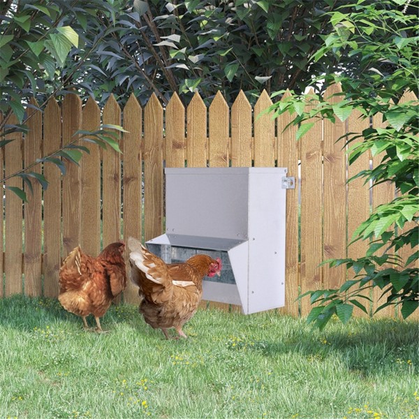 Chicken Feeder