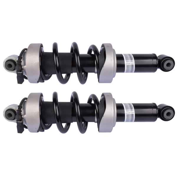 Pair Front Air Shock Absorbers for Audi R8 4.2L 5.2L V8 V10 2008-2015 420412019Q 420412019AG