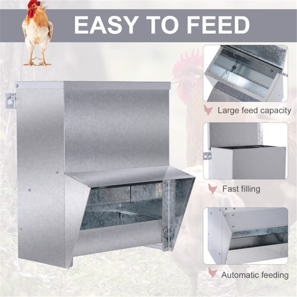 Chicken Feeder