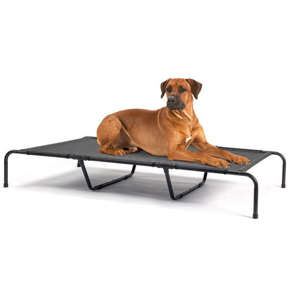 60"D x 37"W x 9"H  Dog Bed