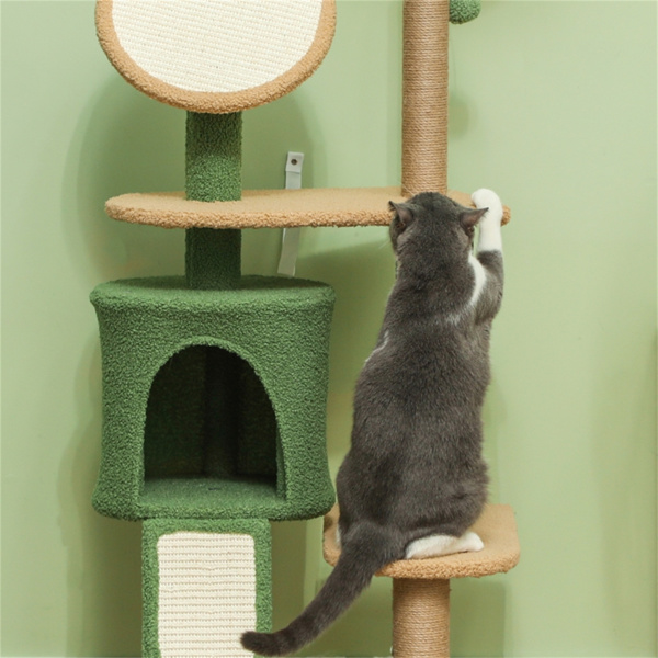 Cat Tree