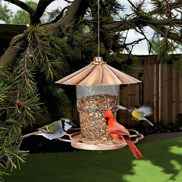 Bird Feeder with Lid