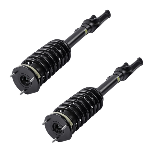 Set of 2 Front Shock Strut & Coil Spring Assys For Mercedes R320 R350 R500 2006-2013 2513200730