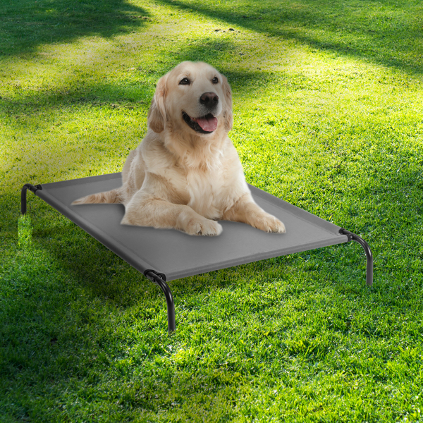 50"D x 31"W x 8"H  Dog Bed 