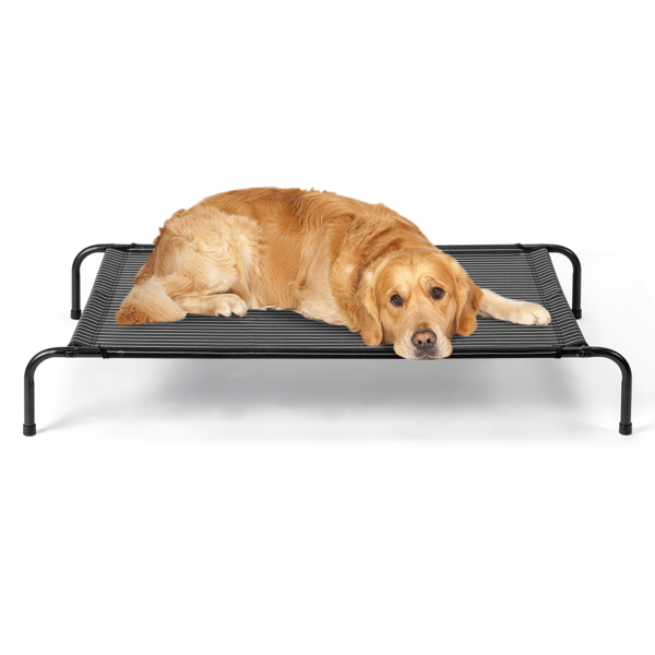 50"D x 31"W x 8"H Dog Bed