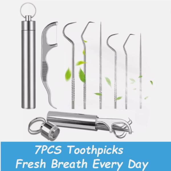 7 PCS Toothpick Set Metal Stainless Steel Oral Tooth Cleaning with Storage Tube