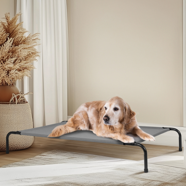 50"D x 31"W x 8"H  Dog Bed 