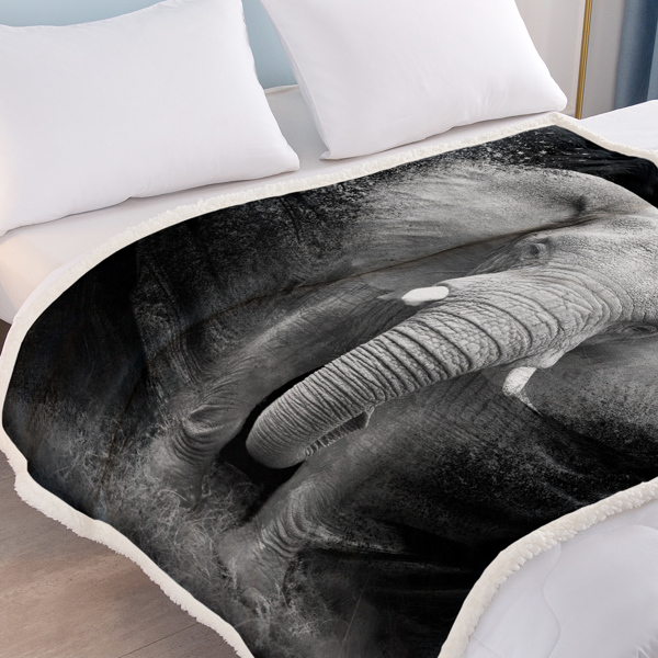 3D Elephant Printed Sherpa Fleece Blanket for Couch Sofa Bed Soft Cozy Fuzzy Black Galaxy Elephant Gifts for Women Adults 150X200cm