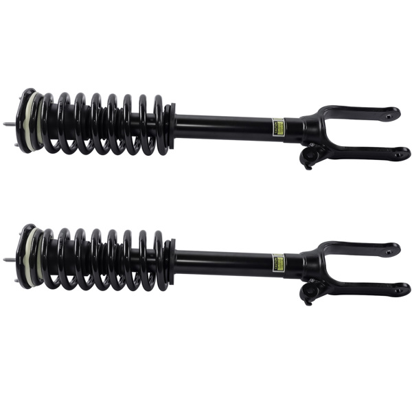 Set of 2 Front Shock Strut & Coil Spring Assys For Mercedes R320 R350 R500 2006-2013 2513200730