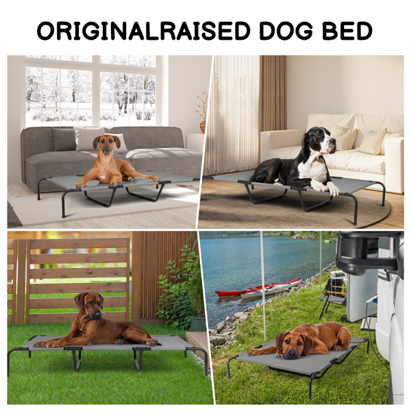 60"D x 37"W x 9"H  Dog Bed