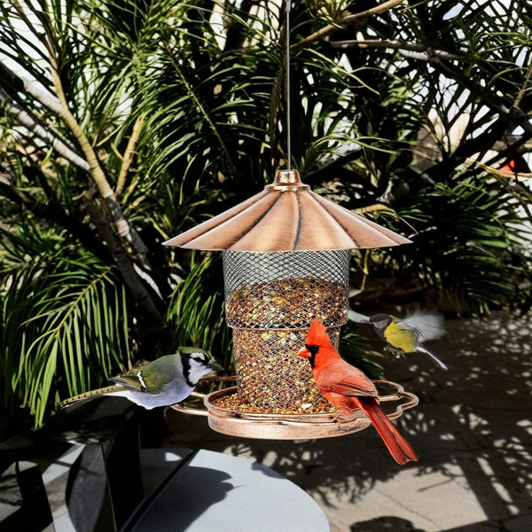 Bird Feeder with Lid