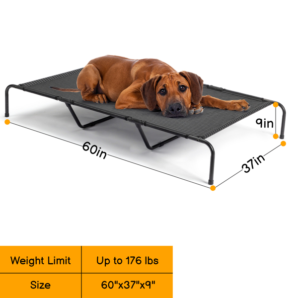 60"D x 37"W x 9"H  Dog Bed